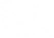 Logo Promis unter Palmen